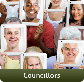 Councillors icon