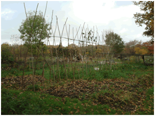 Allotments