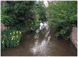 River Enbourne